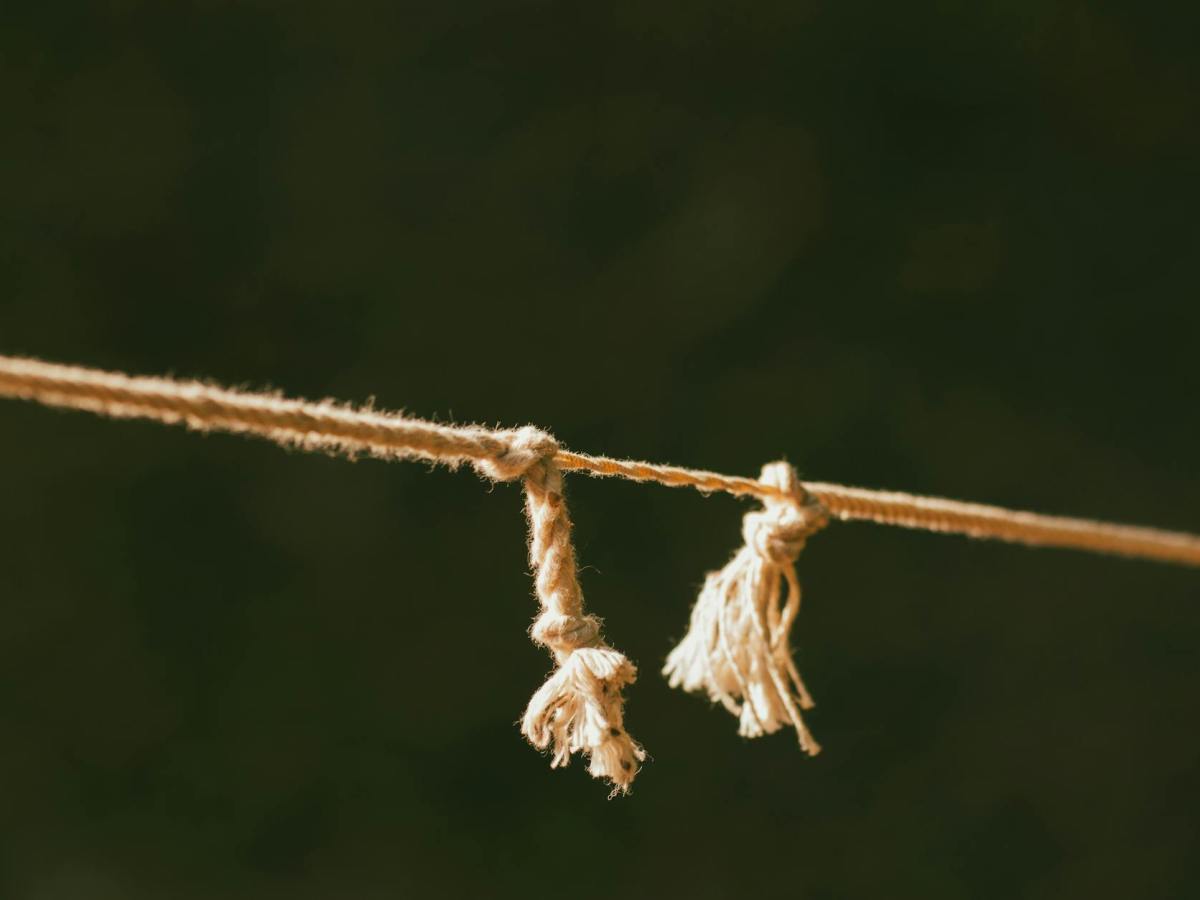 Who is the&nbsp;Weaker?